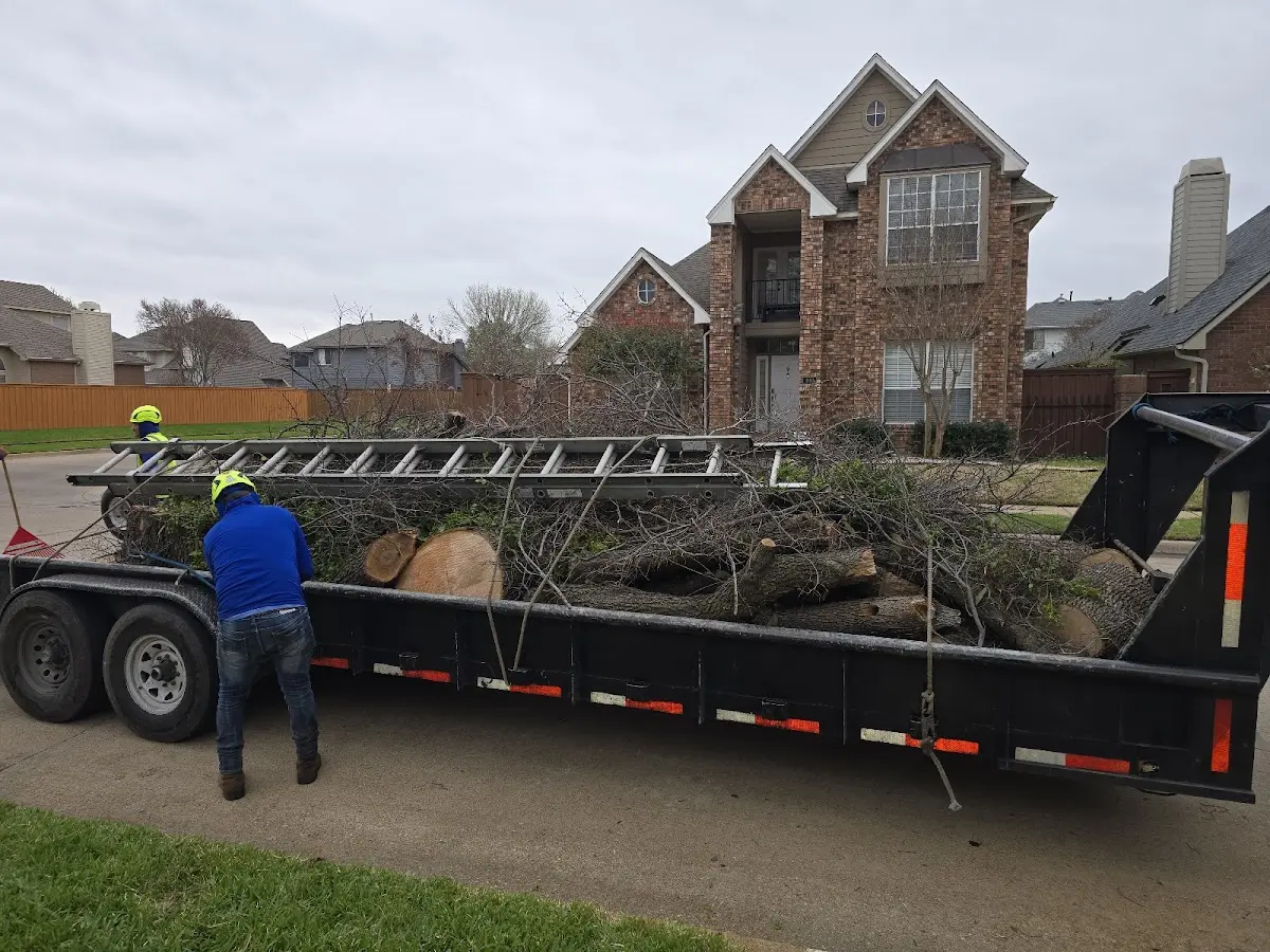 Expert Lot Clearing with proper safety equipment in Mount Orab